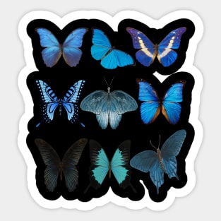 Butterfly Sticker